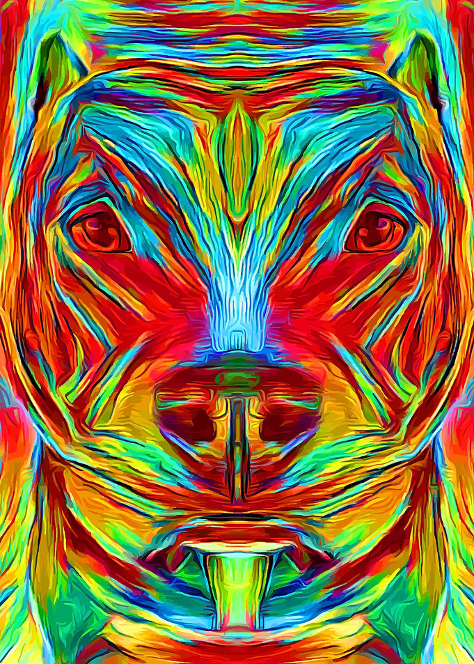Pit Bull Colorful