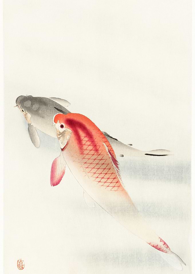 Two Carp