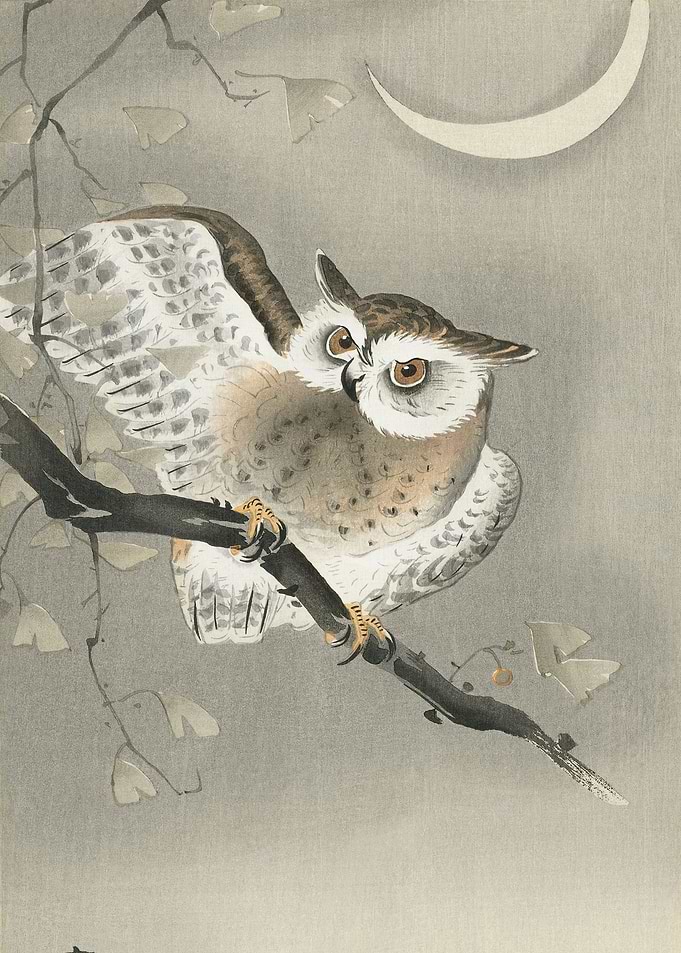 Traditional Owl Art