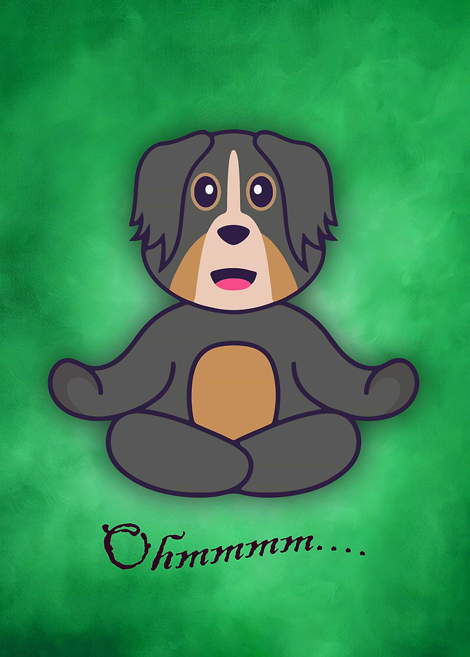 23 Yoga animal 23