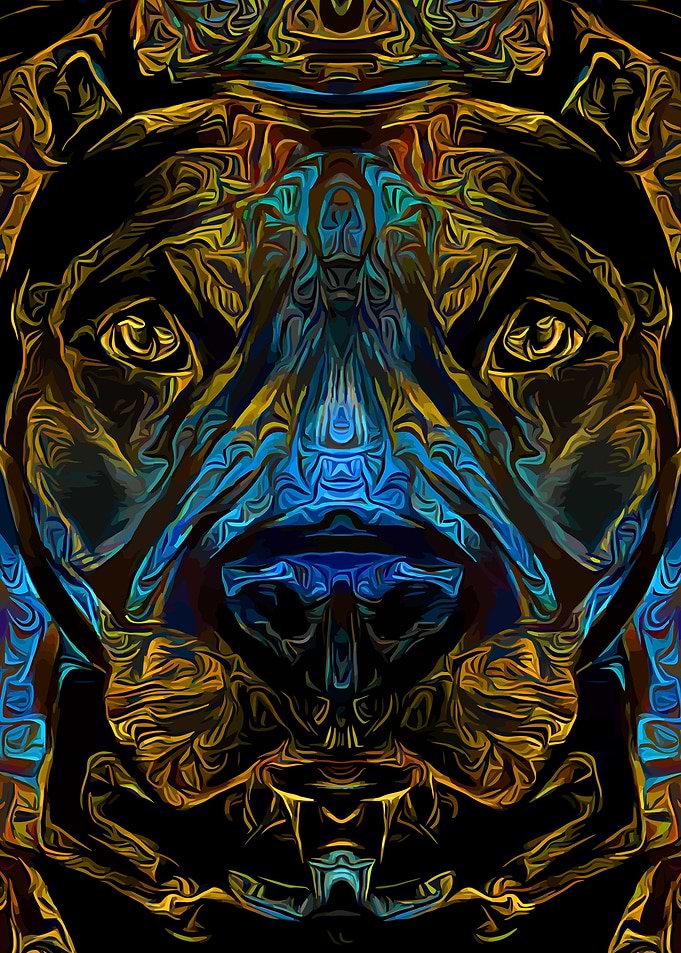 Pit Bull Fantasy