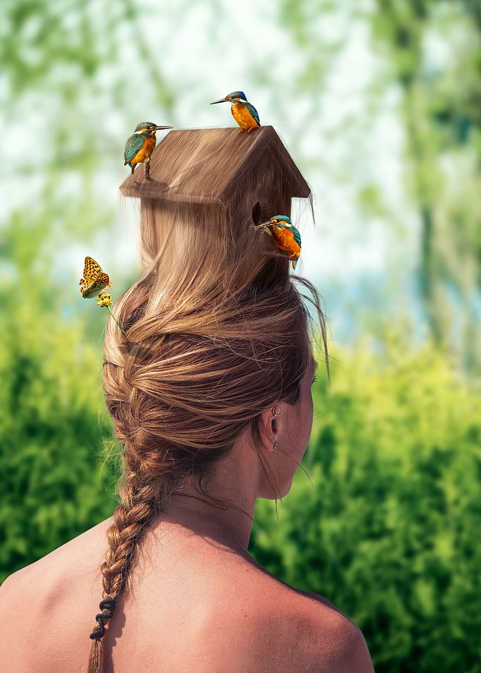 Birdhouse Hairstyle