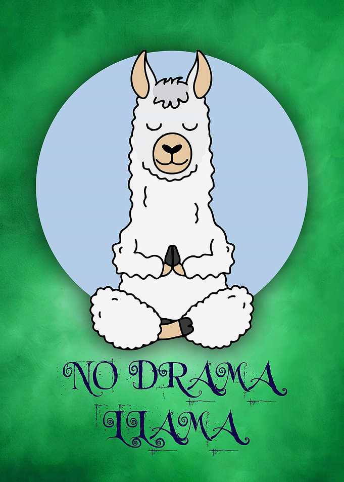 26 Yoga animal 26