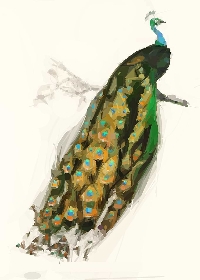 Japanese Abstract Peacock