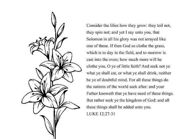 Luke 12 27 31