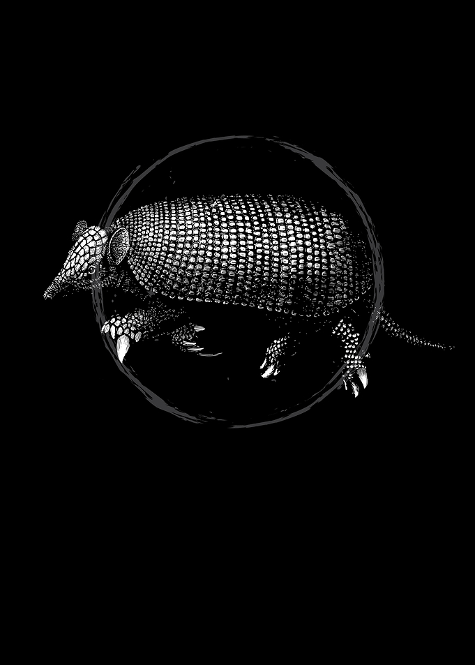 Armadillo Retro
