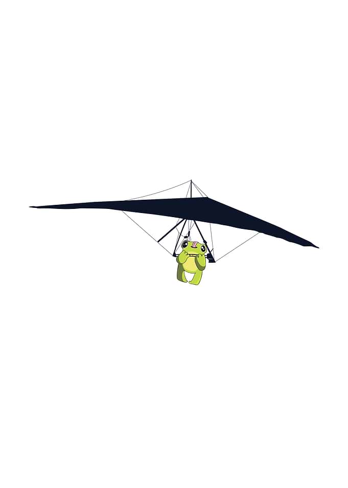 Hang gliding frog