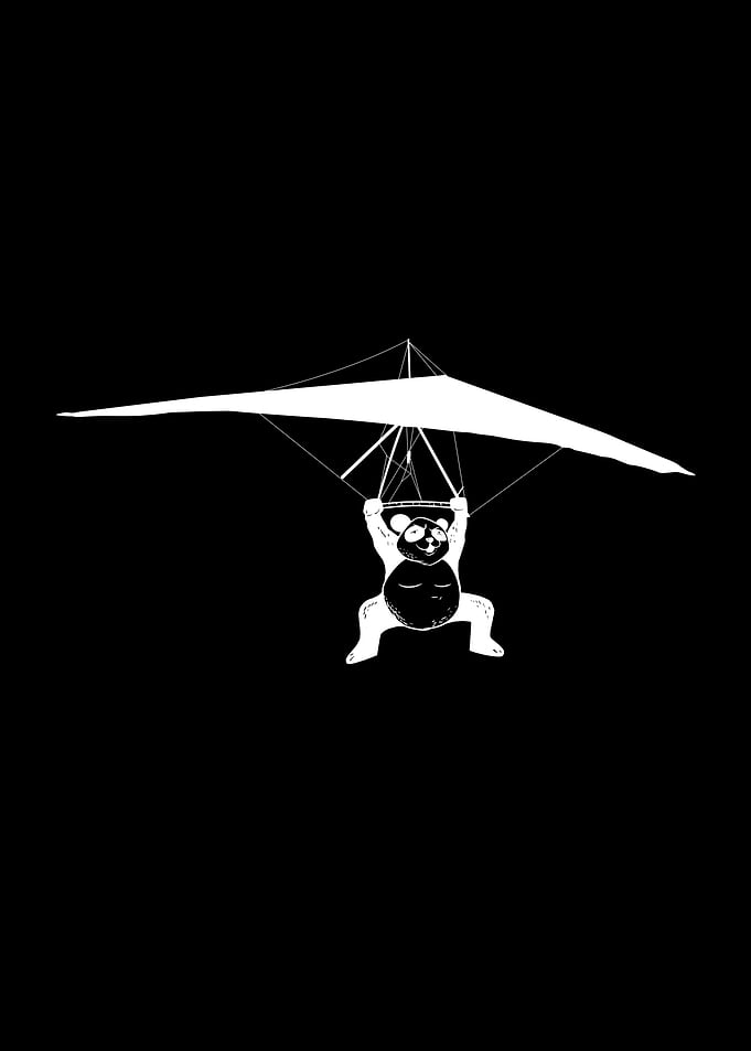 Hang gliding panda
