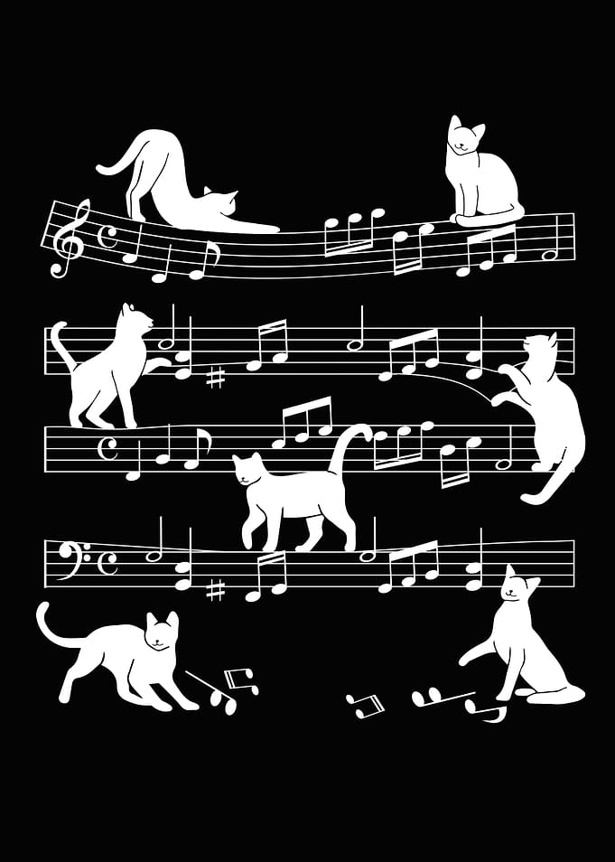 Motivational music cats