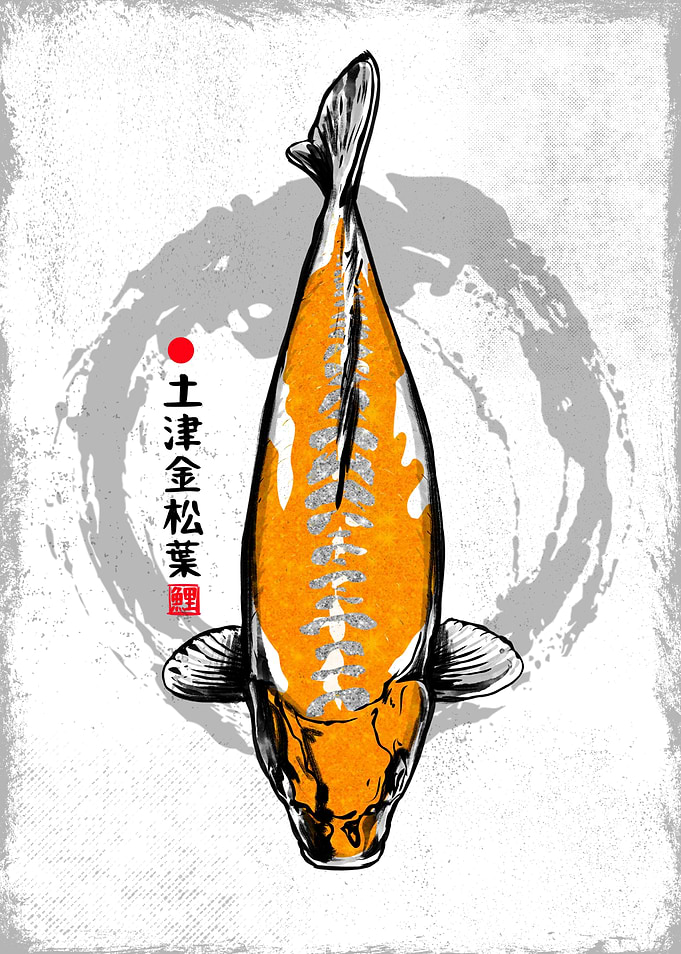 Doitsu kin kohaku Koi Fish