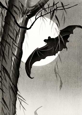 Night creepies