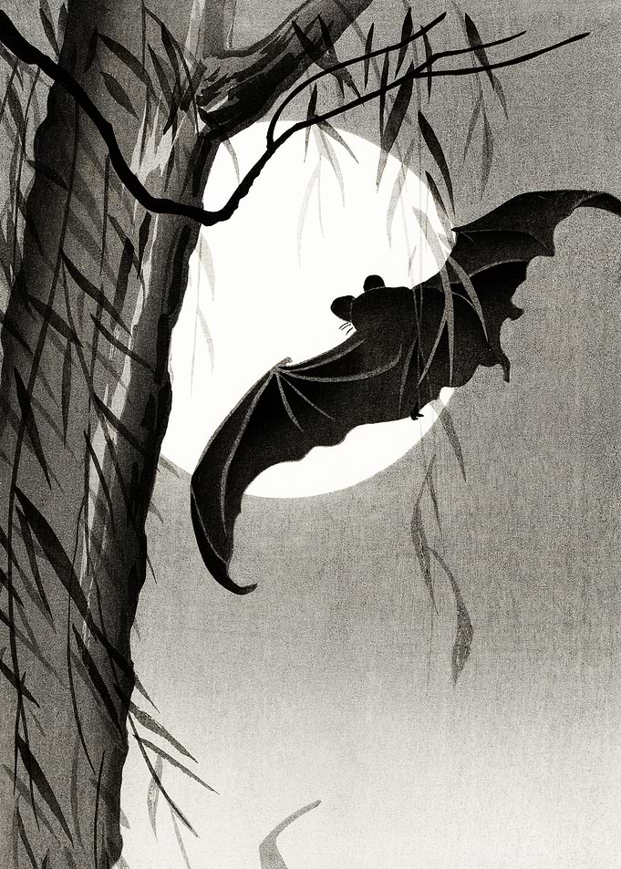 Night creepies