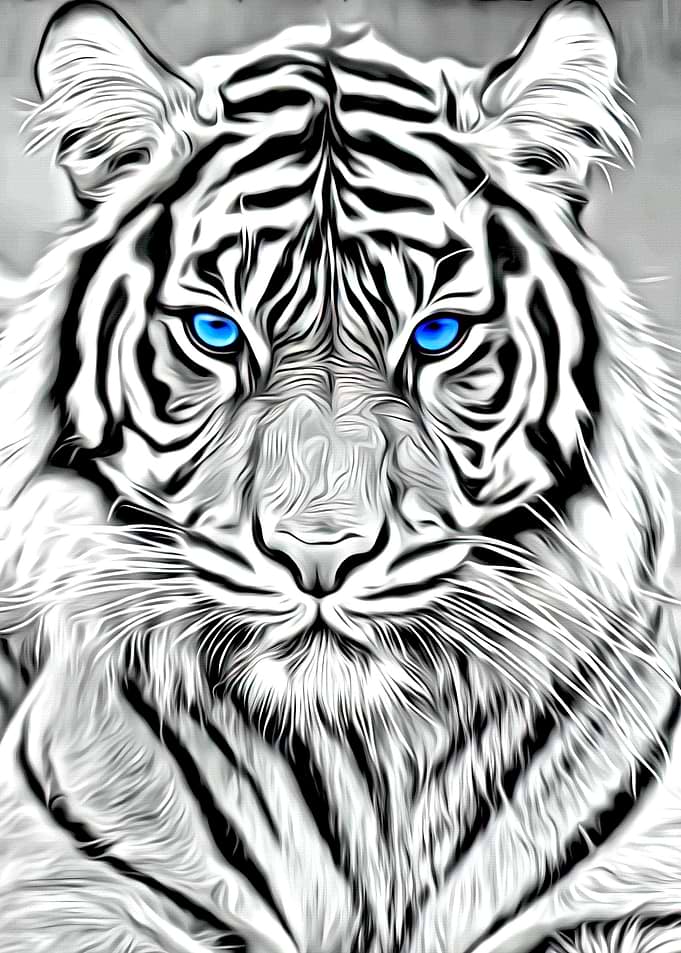 White Tiger Face Painting