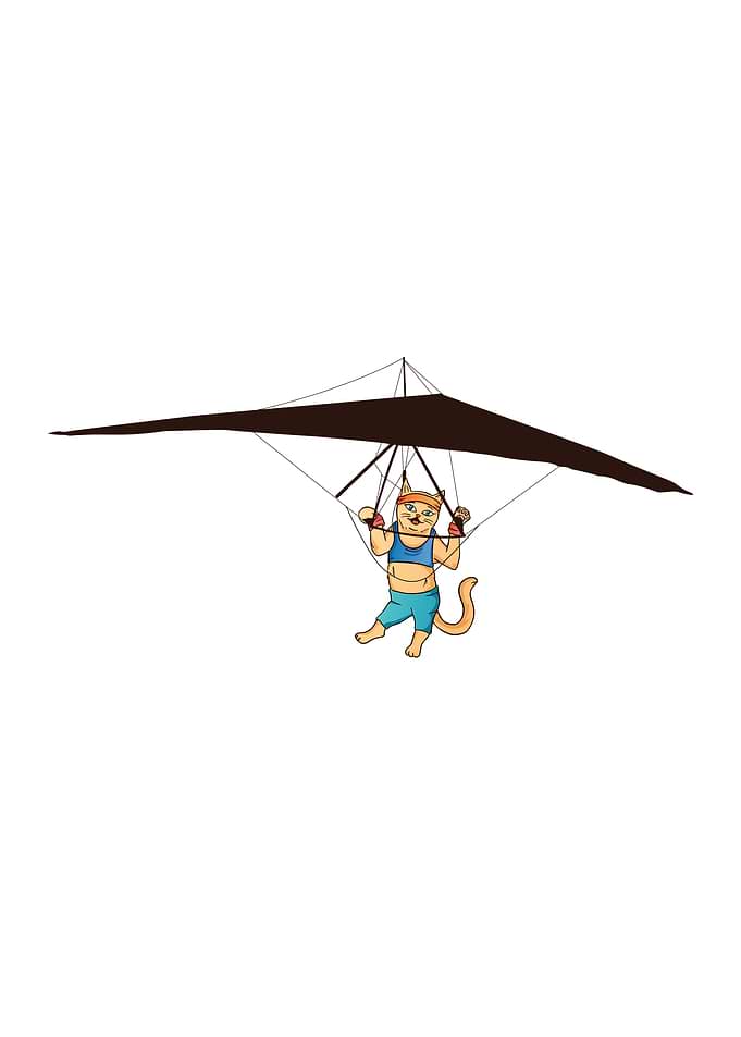 Hang gliding cat