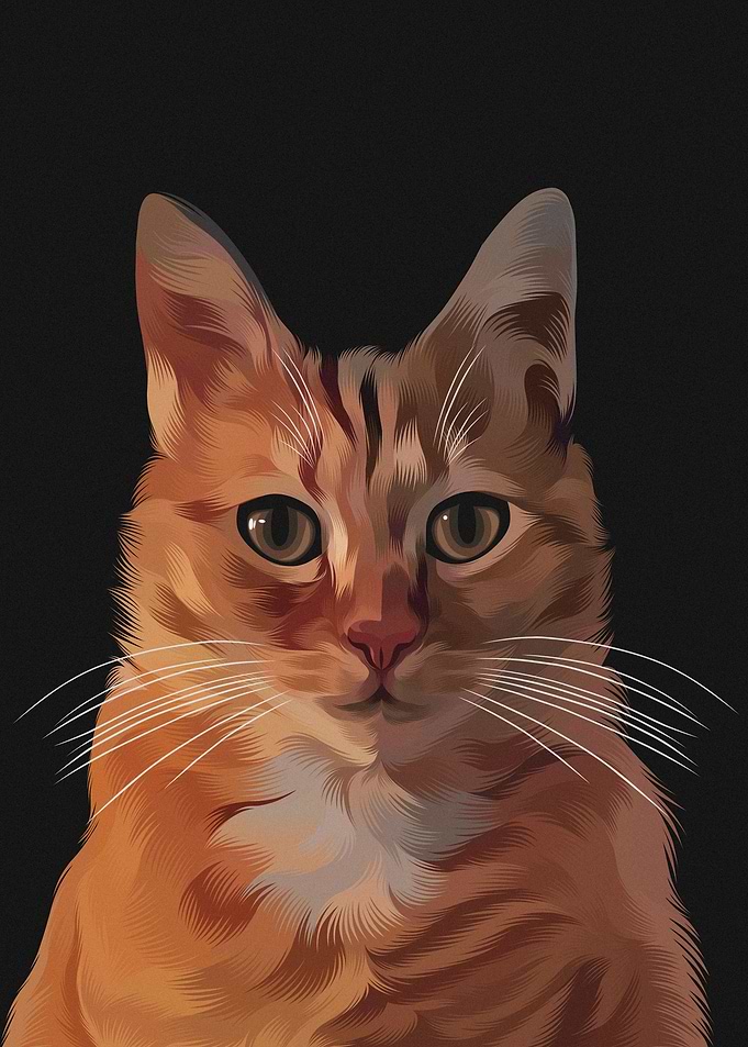 King Orange Cat
