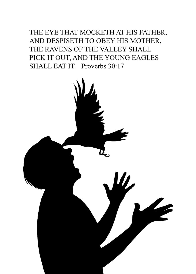 Proverbs 30 17
