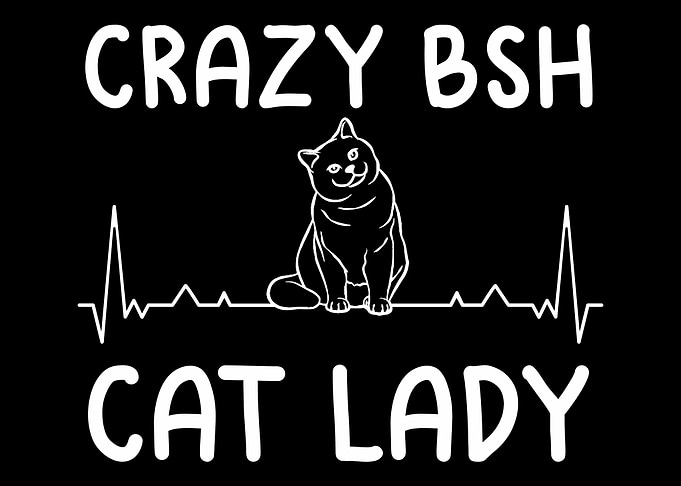 Kitty Cat Meow