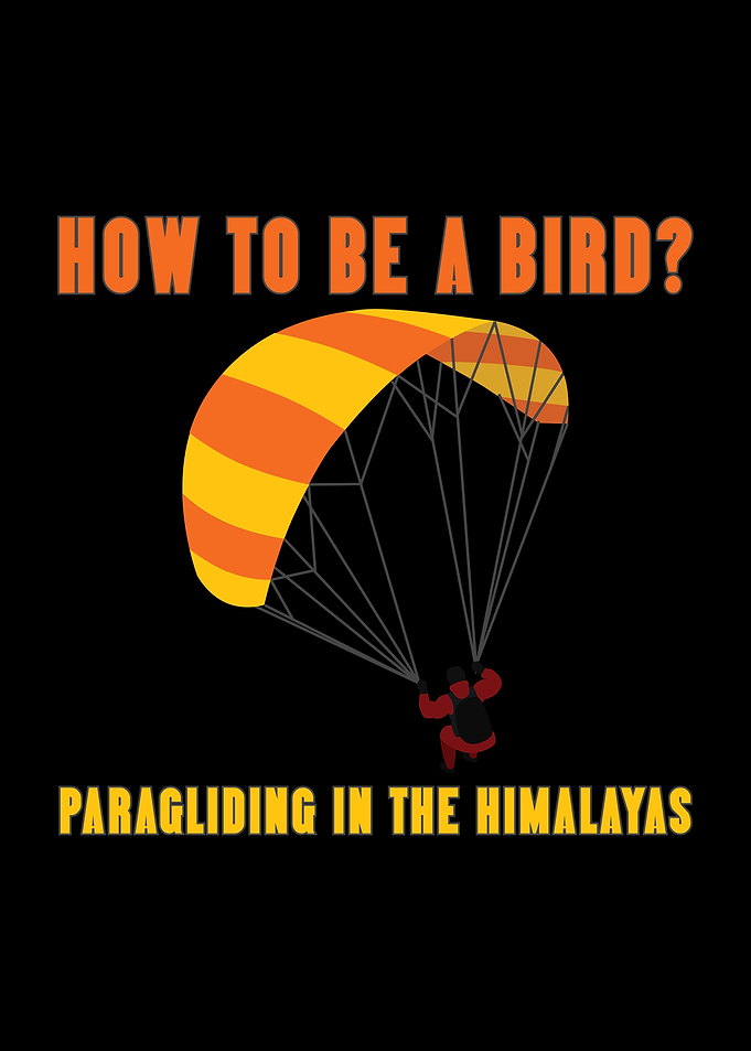 How to be a bird