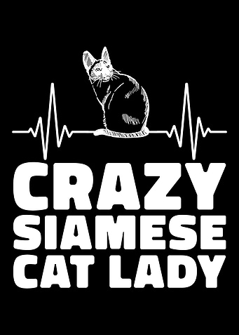Kitty Cat Meow