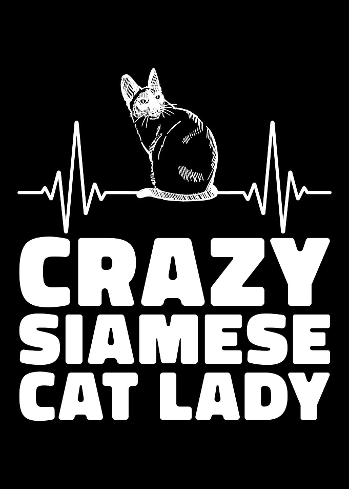 Kitty Cat Meow
