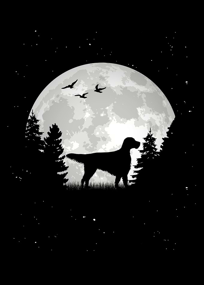 English Setter Moon
