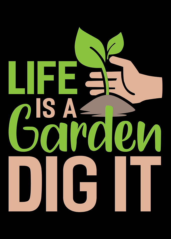 Garden Gardening Plant