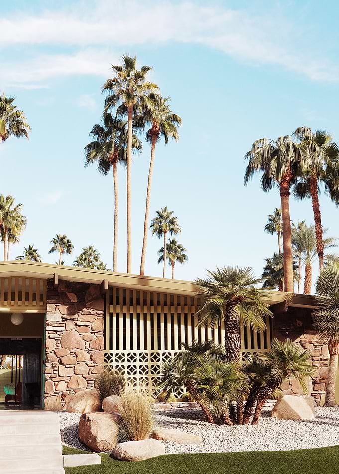 Summer Day At Palm Springs