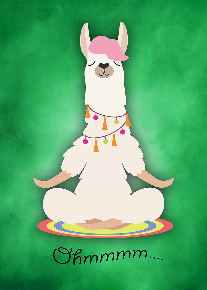 40 Yoga animal 40