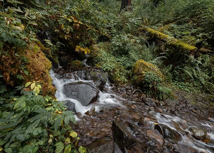 Tranquil nature zen vibe