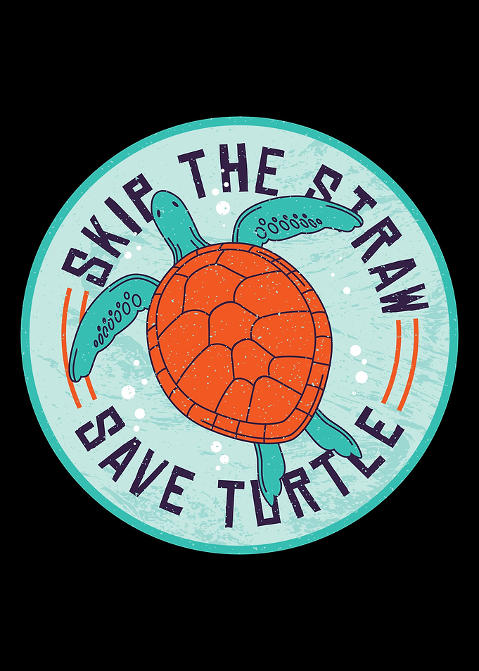 save sea turtles