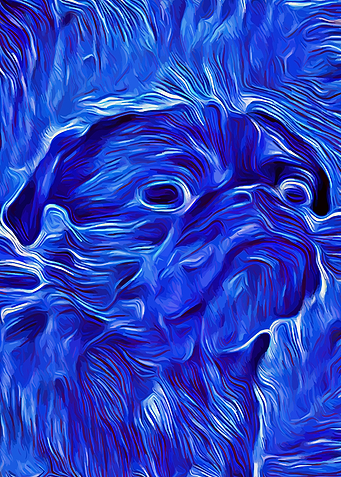 Pug Blue Impasto