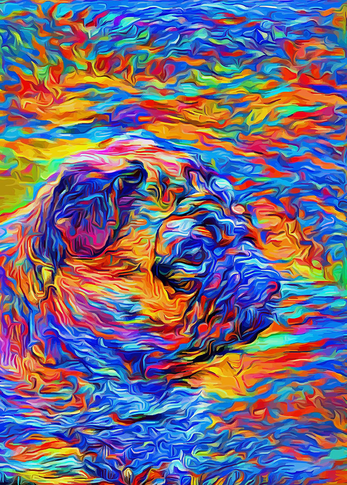 Pug Fineart