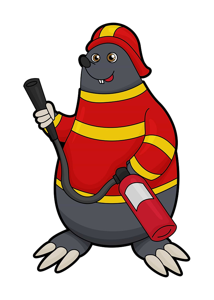 Mole Firefighter Helmet