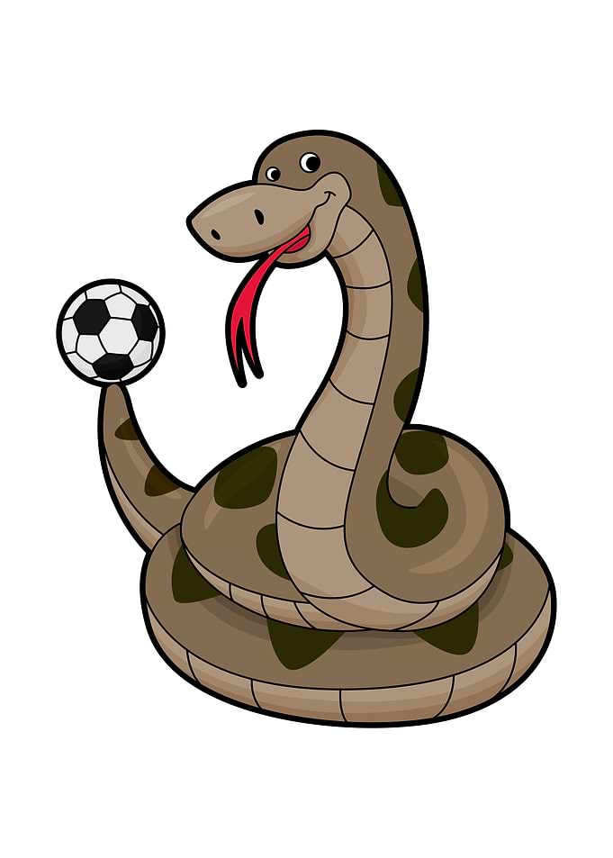 Snake Soccer Soccer ball