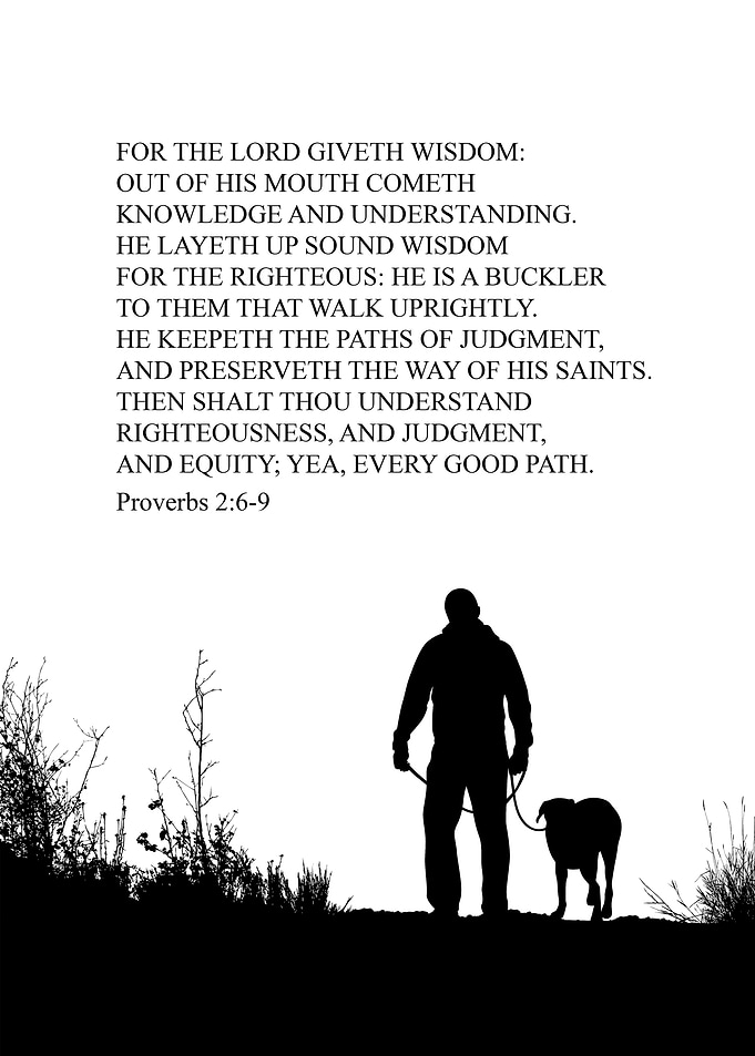Proverbs 2 6 9