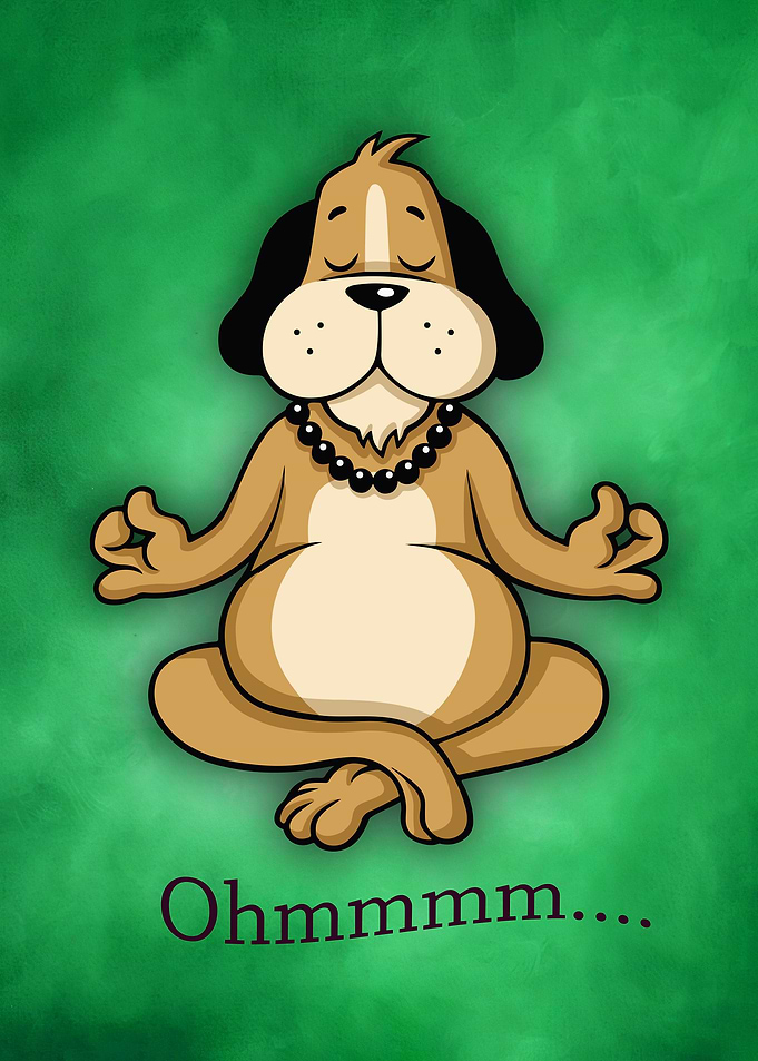 34 Yoga animal 34