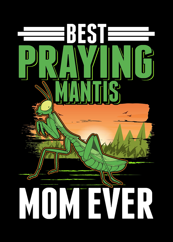 Best Praying Mantis Mom