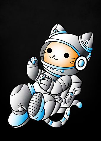 space cat