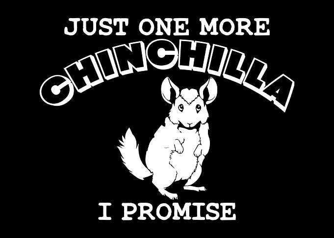 Chinchilla Joke Saying