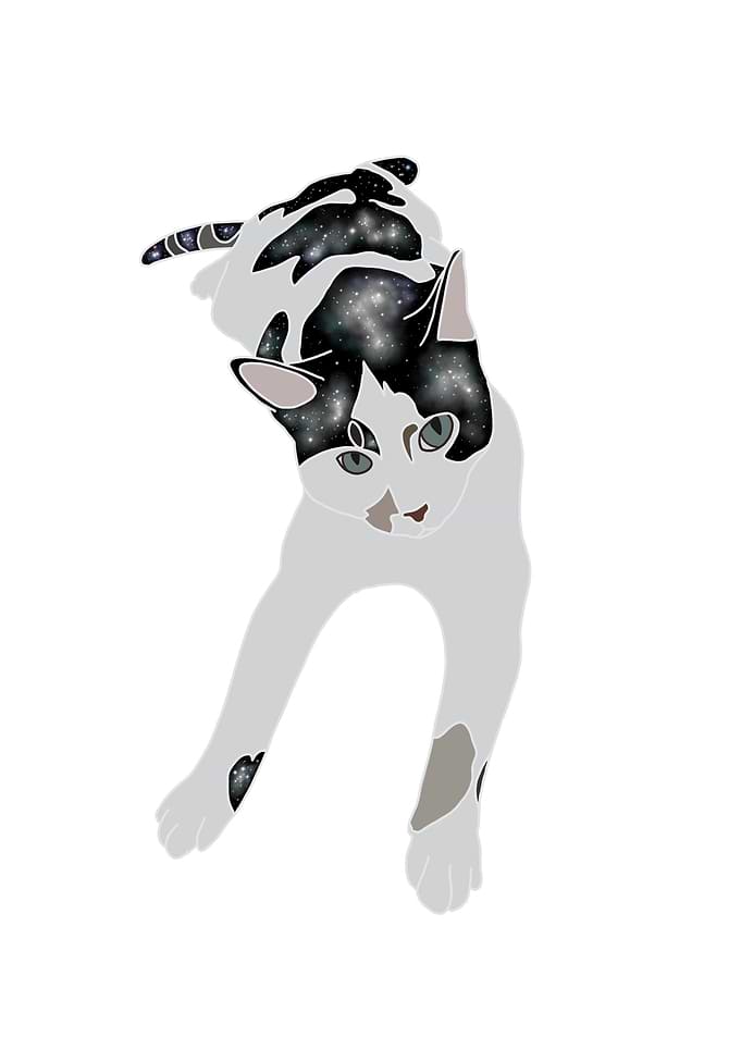 Atlas