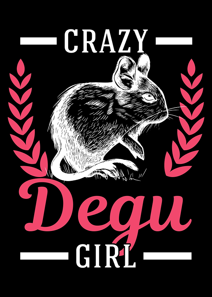 Crazy Degu Girl Rodent
