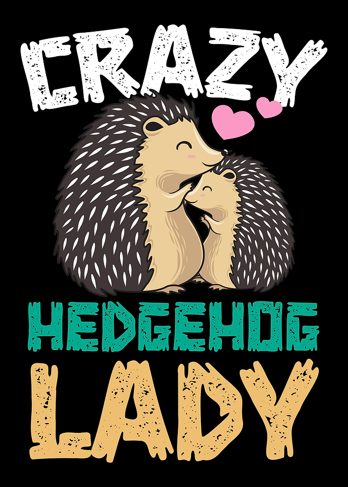Funny Hedgehog Fun Lovers