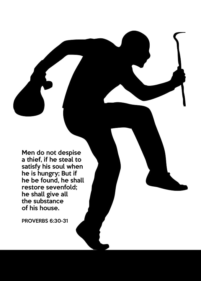 Proverbs 6 30 31