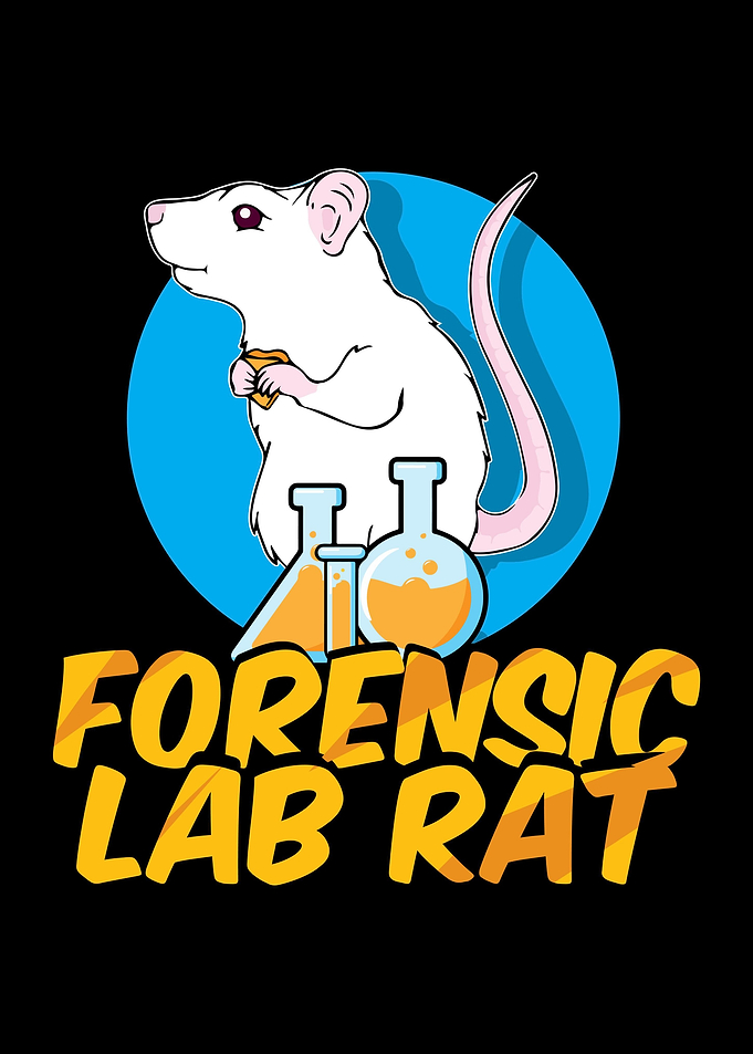 Rat Rodent Rats