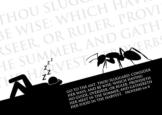 Proverbs 6 6 8