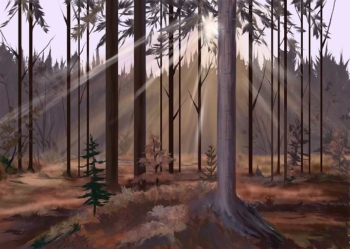 Sunset Forest