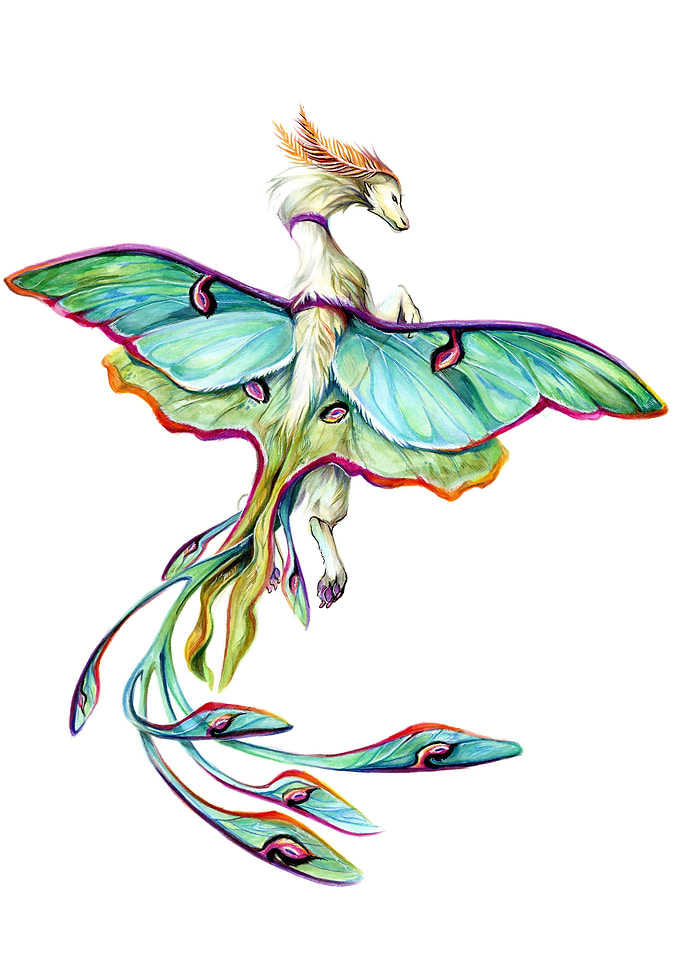 Luna Moth Dragon