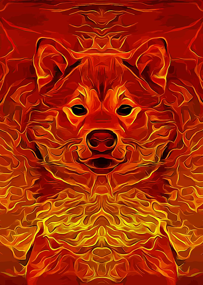 Shiba Burning