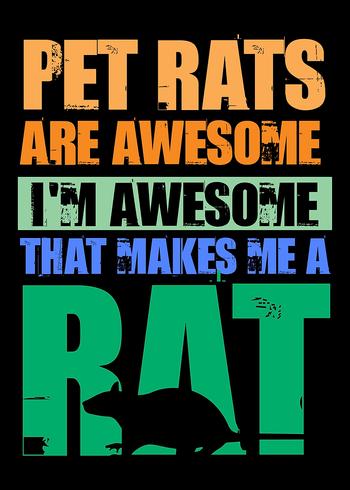 Rat Rodent Rats