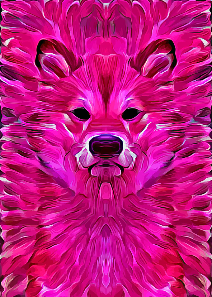 Shiba Pink Impasto